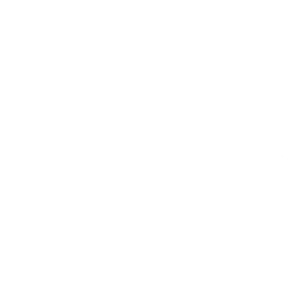 Bizzarro's Boxing & MMA Promotions Logo