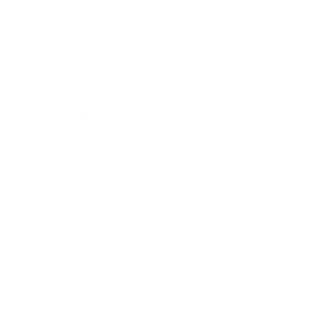 New England Fights Logo