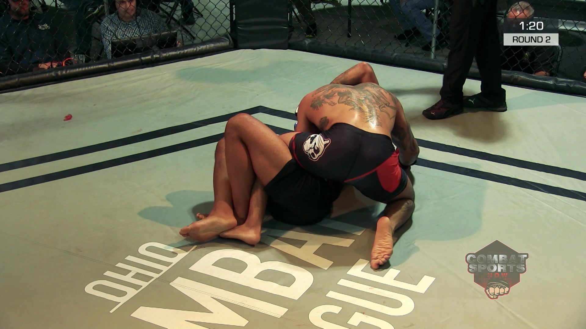 Anthony Tortorici vs Devin Gillotte
