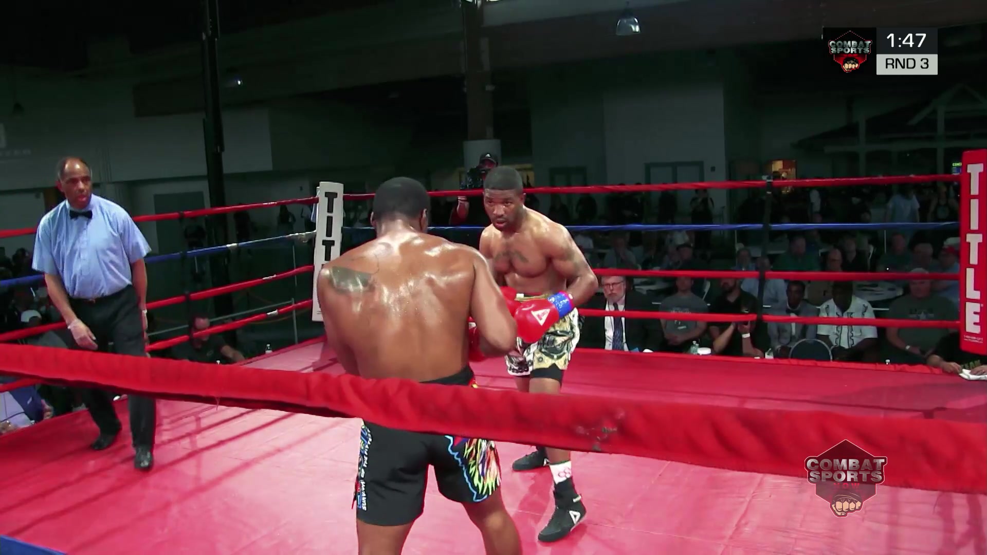 Jerrell Hodge vs Corey Dulaney