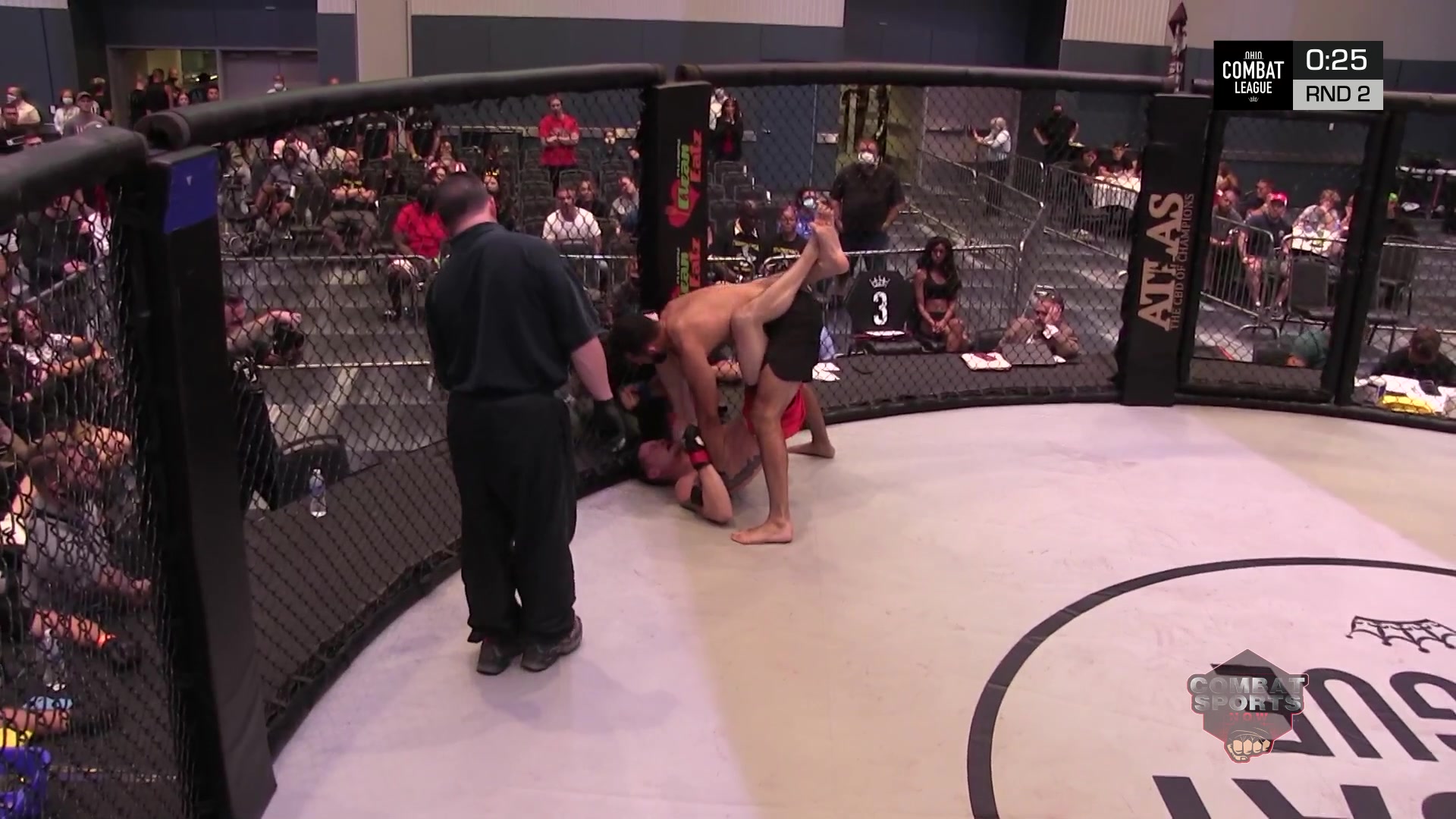 Chris Lewis vs Mark Antonelli