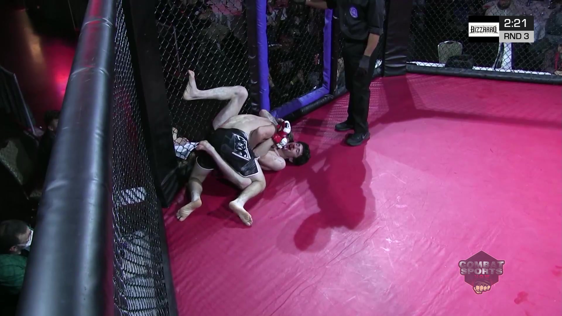 Mason Deless vs Mark Guglielmini